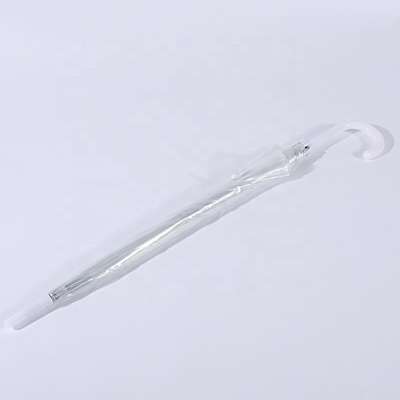 Steel Shaft Advertising Transparent POE Full Body Dome Umbrella with Print Logo Auto Open