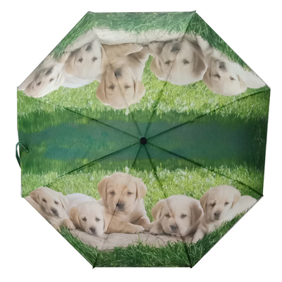 DIY Custom Design Dragonfly Animal Pattern Three-folding Umbrella with Black Coating