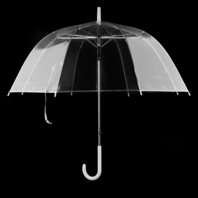 Windproof Waterproof Auto Open Clear Bubble Umbrella with Cute Design Style and Ribs