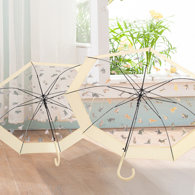 Transparent Umbrella with Long Handle and Straight Pole Can Print Advertising Logo