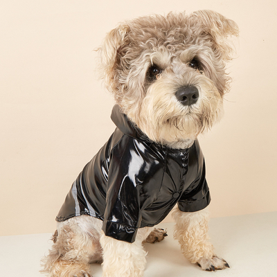 Protect Your Pet from Rain and Stay Safe PVC Custom Reflective Dog Raincoat for Travel