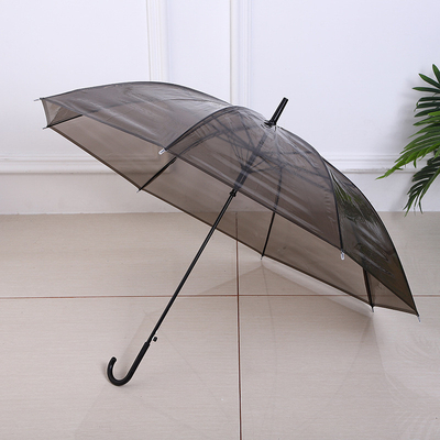 Plastic Creative Small Fresh Long Handle Transparent Umbrella with Auto Open Function