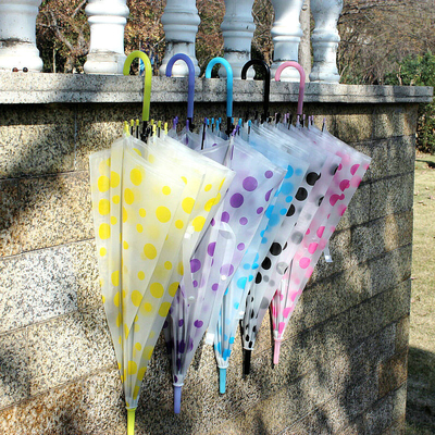 Plastic Creative Small Fresh Long Handle Transparent Umbrella with Auto Open Function
