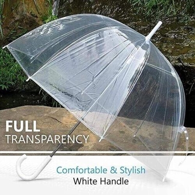 Metal Ribs Transparent Rain Umbrella with Apollo Design and Customized Logo Printing