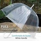 Metal Ribs Transparent Rain Umbrella with Apollo Design and Customized Logo Printing