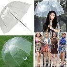 Metal Ribs Transparent Rain Umbrella with Apollo Design and Customized Logo Printing