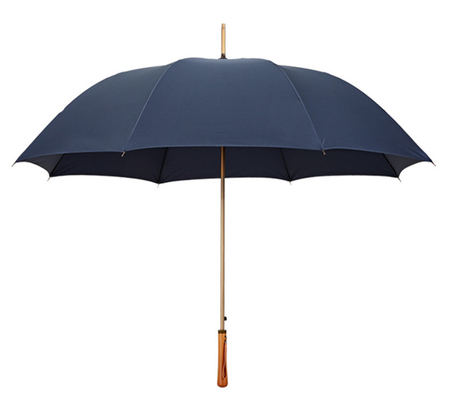 Minimalist Design Style 27inch 8K 190T Pongee Luxury Umbrella for Hanging Advertising