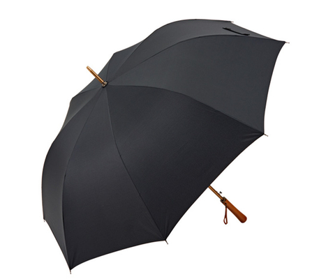 Minimalist Design Style 27inch 8K 190T Pongee Luxury Umbrella for Hanging Advertising
