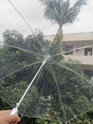 Plastic Umbrella Product Auto Open Parapluie Custom Straight POE Clear Umbrella