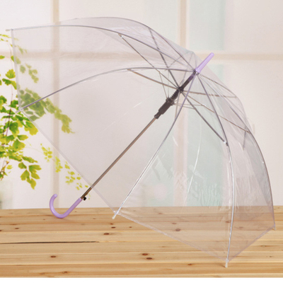 Promotion Advertising PVC Umbrella with Customized Logo and Black Metal Frame