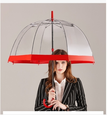 Stylish Dome Shape Clear PVC Plastic Rain Umbrella for Adults Apollo Minimalist Design
