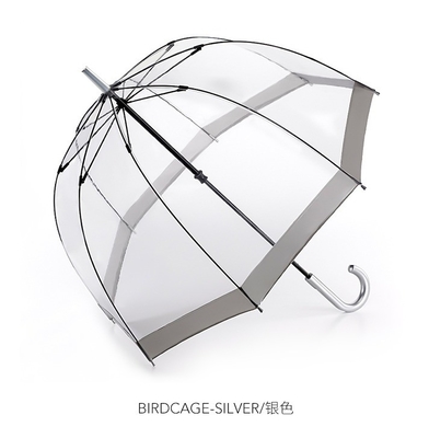 Stylish Dome Shape Clear PVC Plastic Rain Umbrella for Adults Apollo Minimalist Design