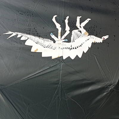Customized Printing Folding Umbrella with Magic Color Changing Feature and Steel Frame